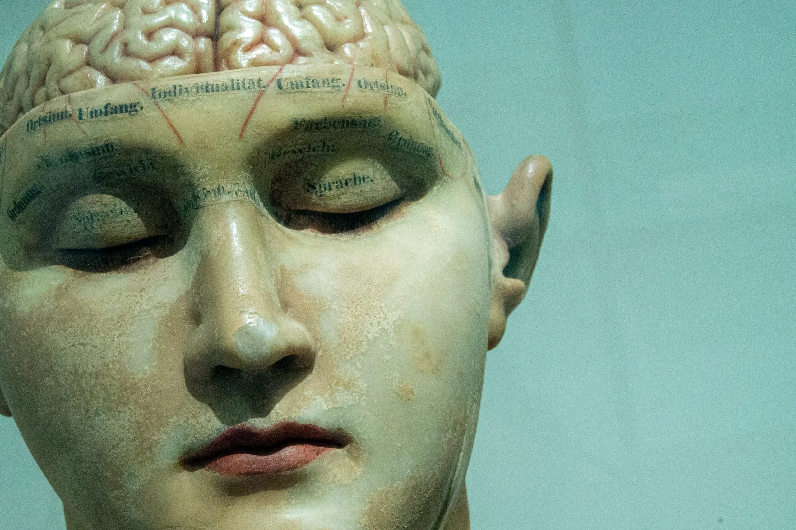 Hoe werkt Mindfulness? Jouw brein in actie 🧠